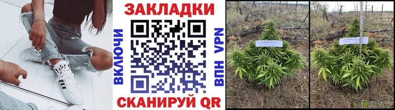 Купить наркотик аптеки Сыктывкар ГАШ mega ссылки Alpha-PVP Меф мяу мяу Кокаин Марихуана