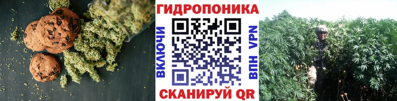 Печенье с ТГК конопля  ссылка на мегу ссылки  Сыктывкар 