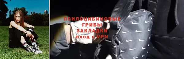 ПСИЛОЦИБИНОВЫЕ ГРИБЫ Алзамай