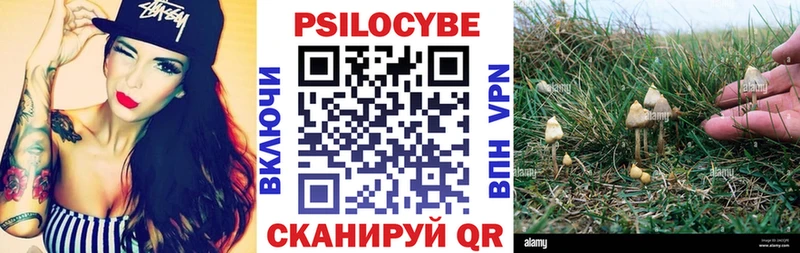 купить  сайты  Сыктывкар  Псилоцибиновые грибы MAGIC MUSHROOMS 